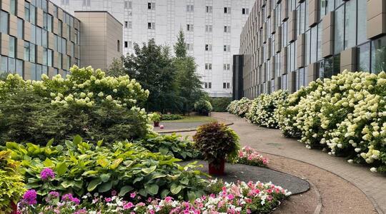 Чайка Плаза X - Офисная недвижимость