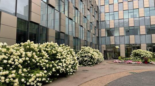 Чайка Плаза X - Офисная недвижимость